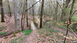 Bois entre Les Cours et la Perelle, petit pont à gauche ou gué à droite