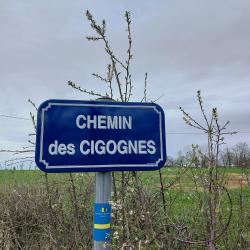 Chemin des Cigognes