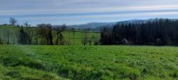 Paysage
