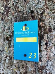 Balisage des sentiers de Charlieu-Belmont