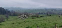 Arcinges, vue sur le bocage