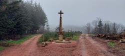 Croix au carrefour des pistes forestières