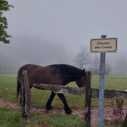 Chemin des Cimes