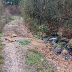 Gué de ruisseau