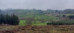 Paysage