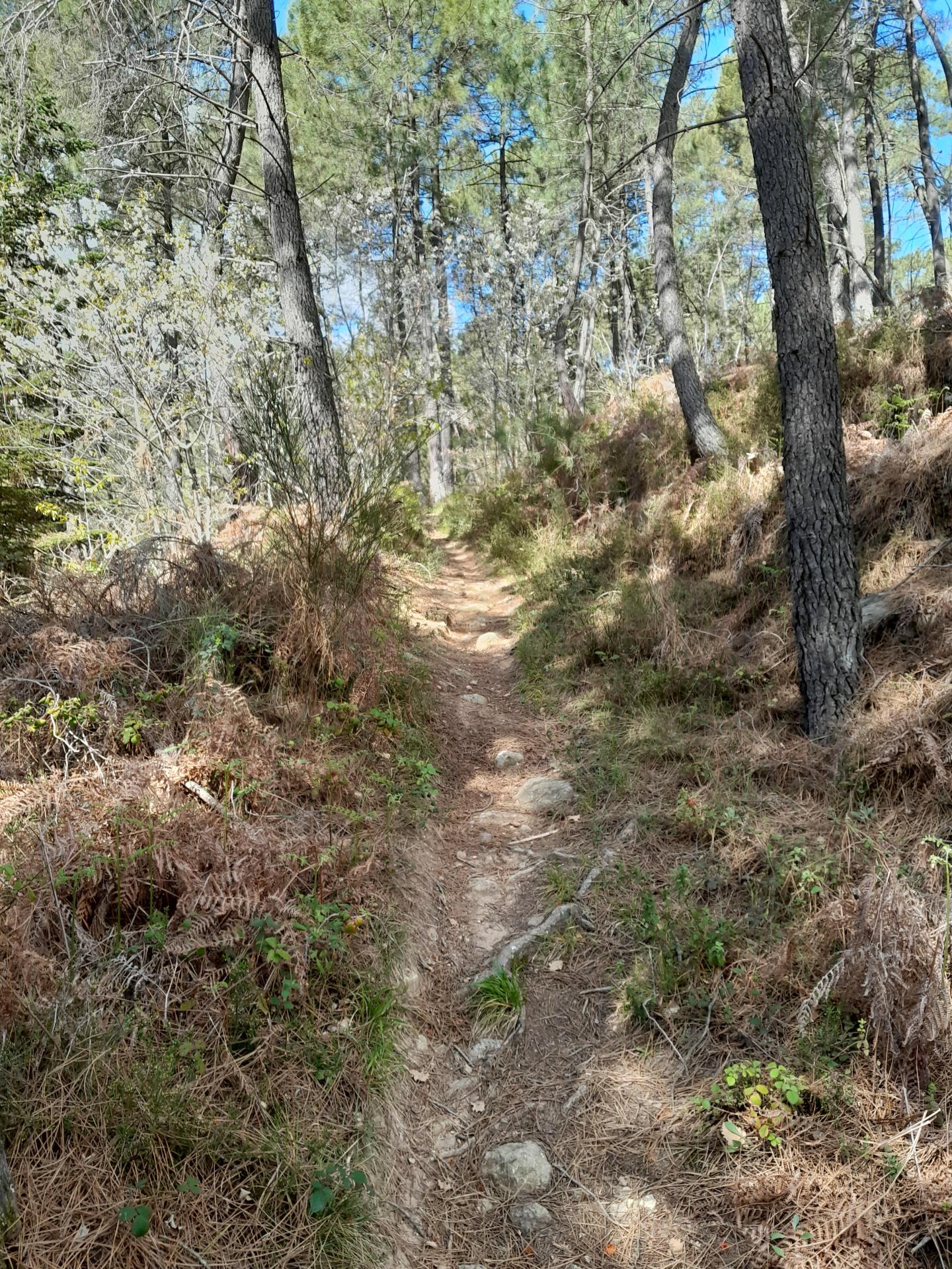 Tour de Fons et Aihlon