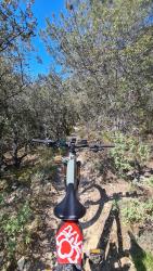 VTT-35196