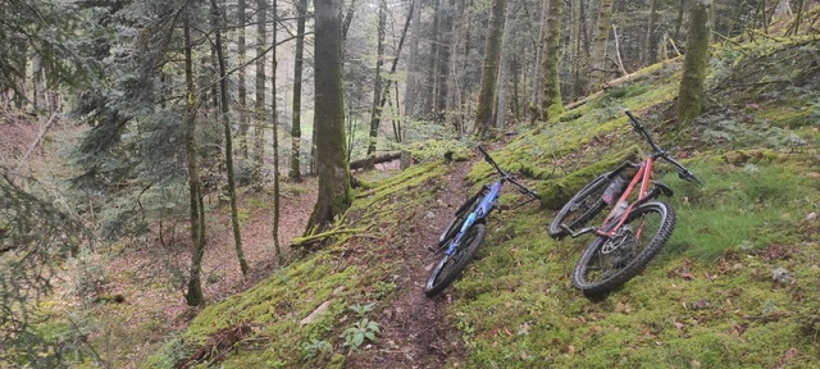 Maxicake et Singlestream : 2 singles enduro
