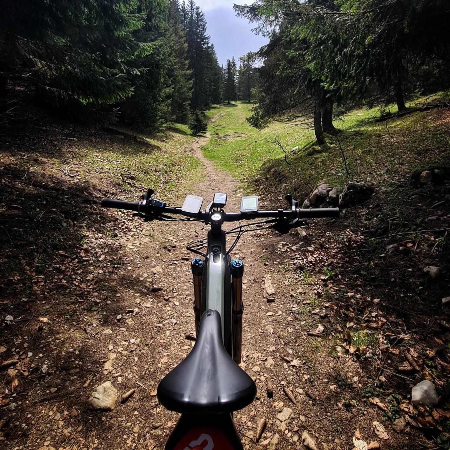 Gex - Col de la Faucille