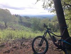 VTT-35296
