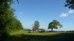 Du côté du mont Brogny