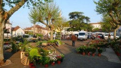 Marché de Givry sur la place d'armes, le jeudi matin