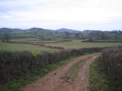Vers le Mt Brogny