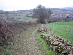 Mt Brogny
