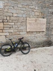 VTT-35342