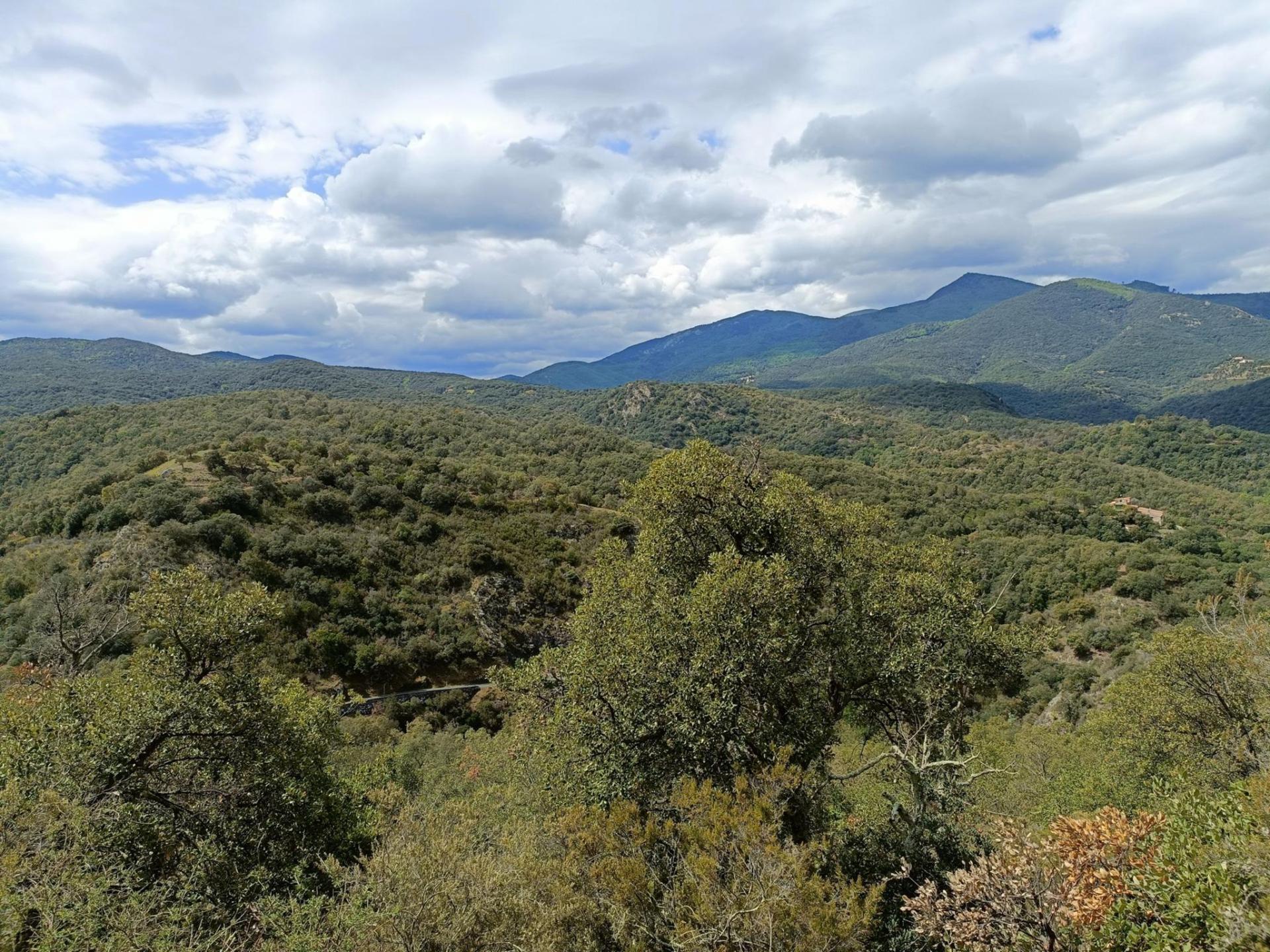 Maureillas - Le Perthus