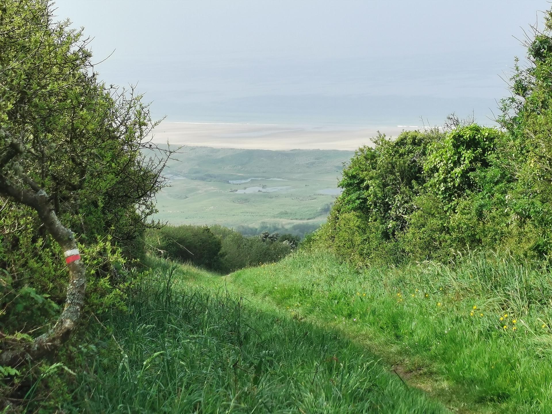 Des landes de Vauville aux dunes de Biville