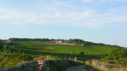 Vue sur le Cellier aux moines