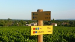Fléchage des balades vertes - On passe devant avec la balade VTT, "Descente de l'Orbize"