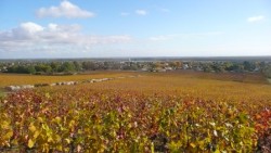 Retour sur Givry par les vignes