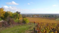 Retour sur Givry par les vignes
