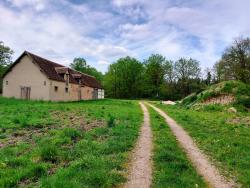 Piste forestière et ferme en Sologne