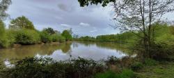 Étang en Sologne