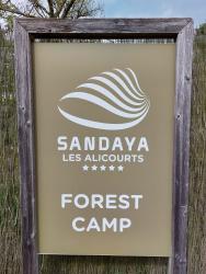 Les Alicourts, Forest Camp