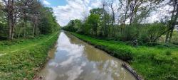 Canal de la Sauldre