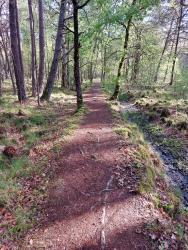 Chemin vers l'étang des Lévrys