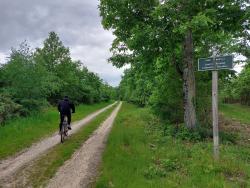 Forêt Domaniale de Lamotte-Beuvron, Carrefour du Brigadier