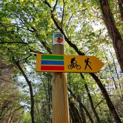 Chaumont sur Tharonne, autour de Center Parcs