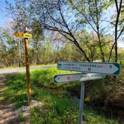 Chaumont sur Tharonne, autour de Center Parcs
