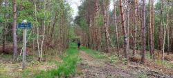 Forêt Domaniale de Lamotte-Beuvron, Carrefour du Poteau