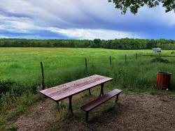 Retour, GRP de Sologne, pique-nique