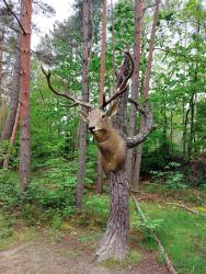 Autour de Center Parcs