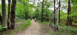 Chaumont sur Tharonne, autour de Center Parcs