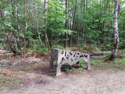 Chaumont sur Tharonne, autour de Center Parcs