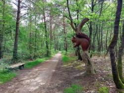 Chaumont sur Tharonne, autour de Center Parcs