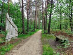 Chaumont sur Tharonne, autour de Center Parcs