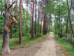 Chaumont sur Tharonne, autour de Center Parcs