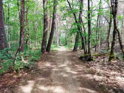 Chaumont sur Tharonne, autour de Center Parcs