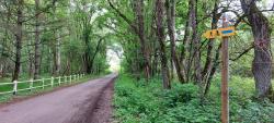 Chaumont sur Tharonne, autour de Center Parcs