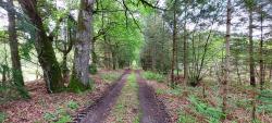 Chemin Solognot