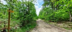 Chemin Solognot