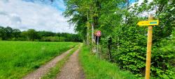 Chemin Solognot