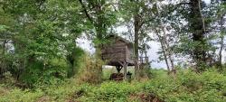 Cabane au bord d'un étang Solognot