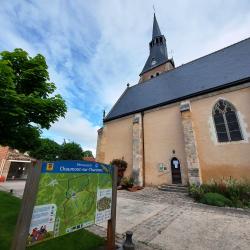 Chaumont sur Tharonne, l'église