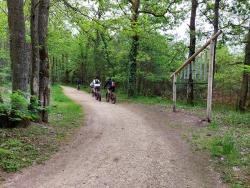 Chaumont sur Tharonne, autour de Center Parcs