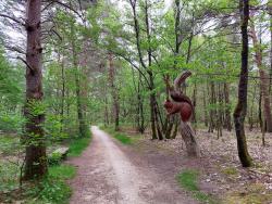 Chaumont sur Tharonne, autour de Center Parcs